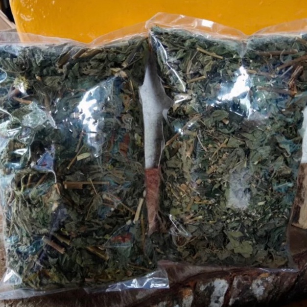 

[☎R7/] daun kirinyuh kering [94]