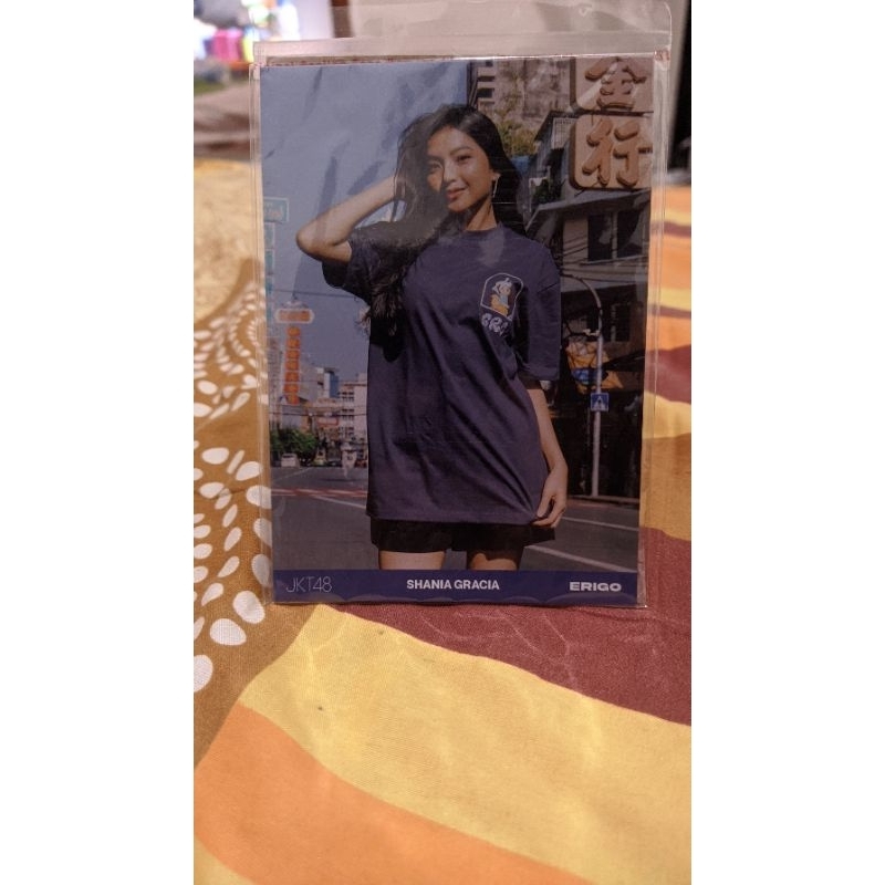 photo pack erigo Gracia vol 5