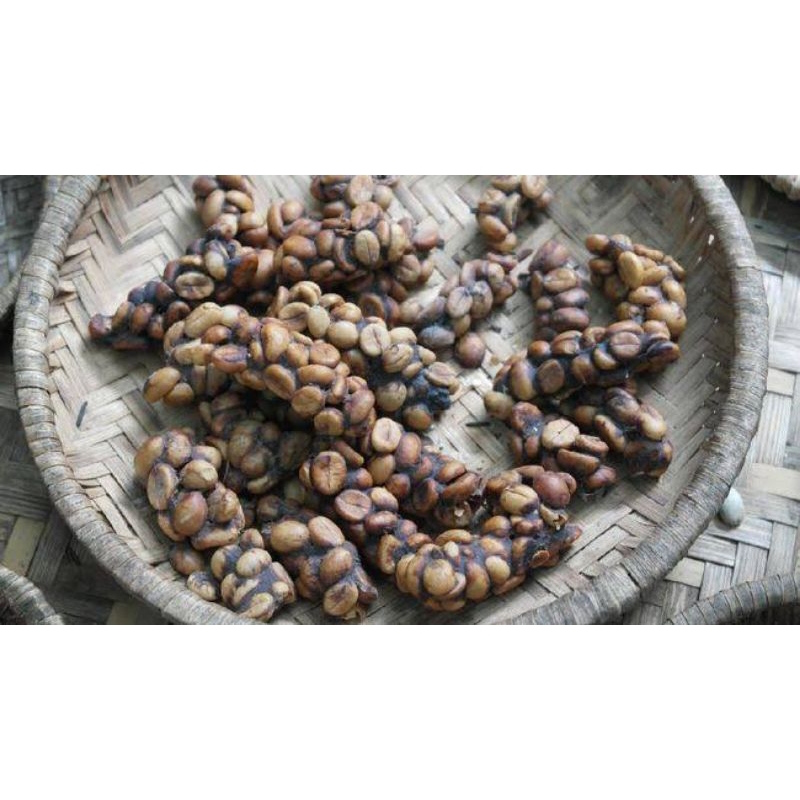 Kopi Luwak Premium