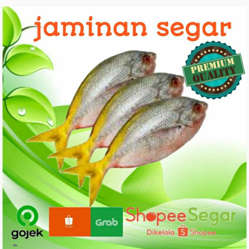 

ikan ekor kuning 500gr