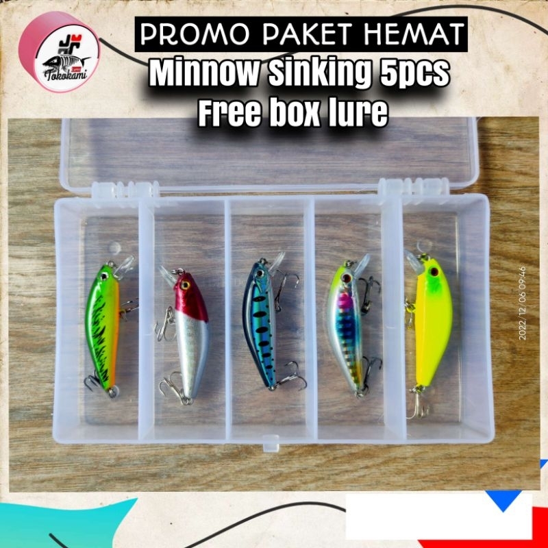 paket lure hampala & minnow sinking free box