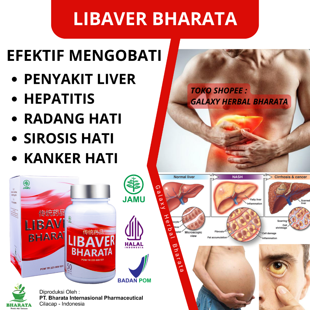 libaver bharata obat penyakit liver ampuh