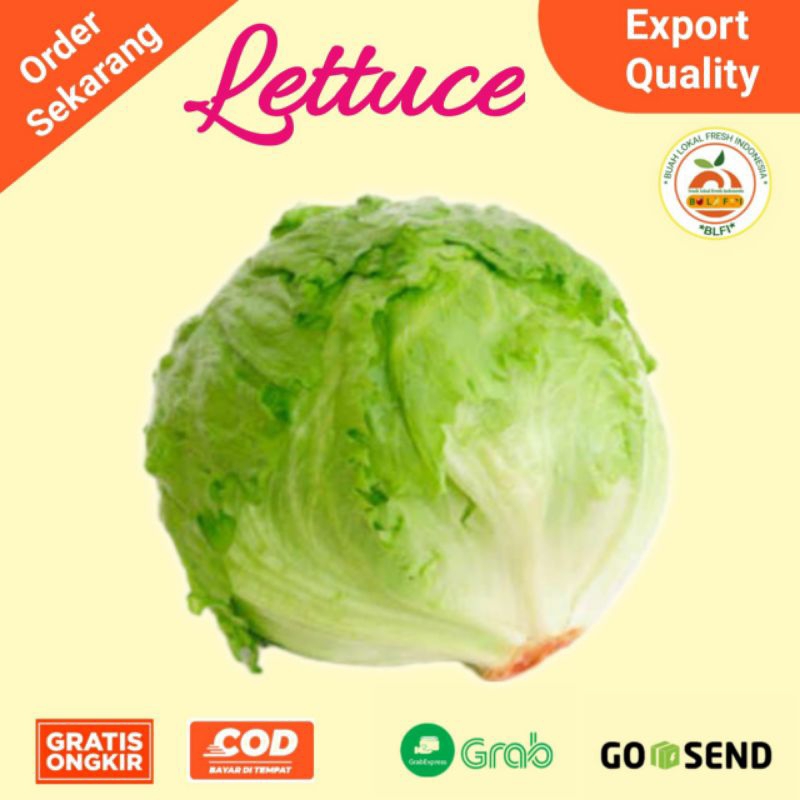 

LETUCE FRESH