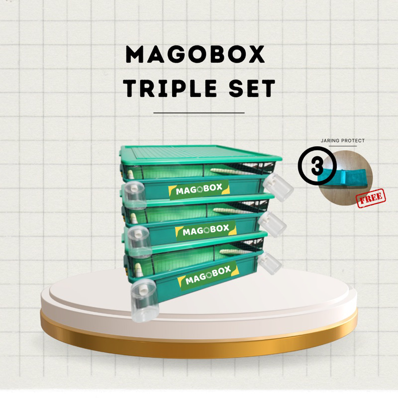Magobox Triple Set Paket Budidaya Maggot Bertingkat Skala Rumah