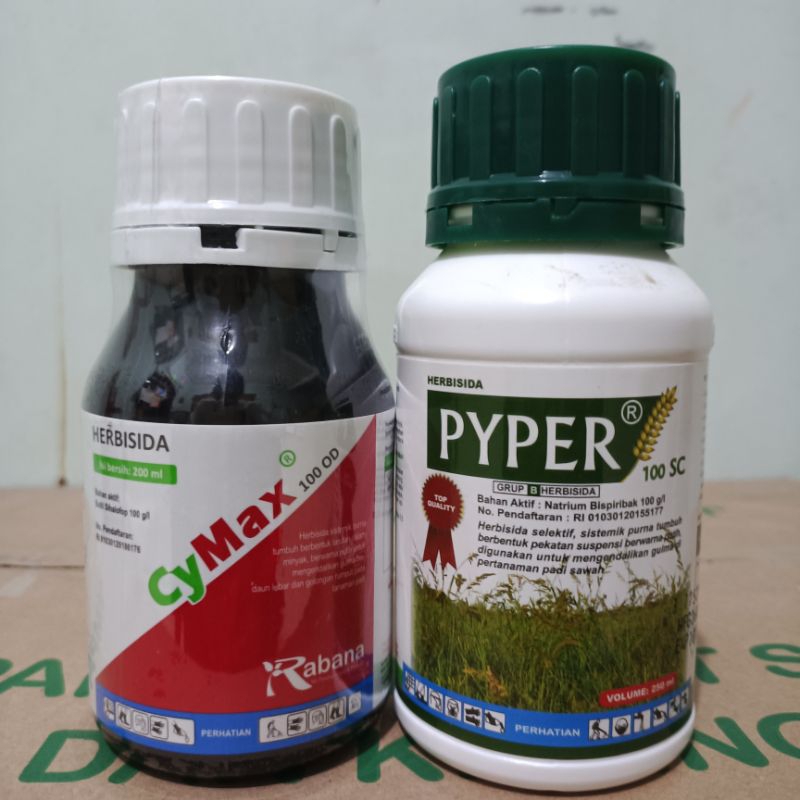 Herbisida Novlect Cymax Pyper Topshot Sekelas novlect untuk mengendalikan padi secara tuntas