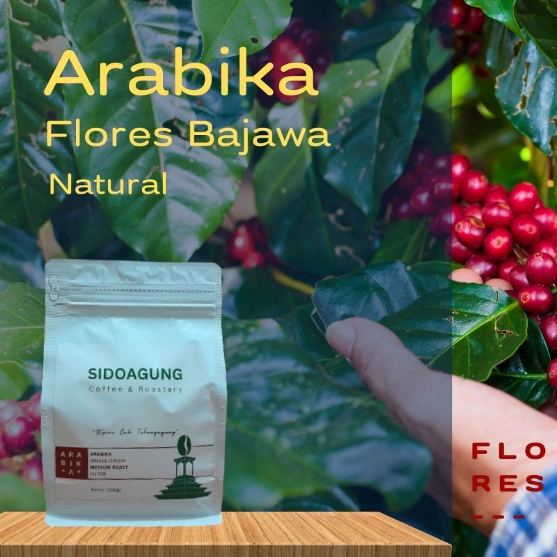 

Arabika Flores Bajawa