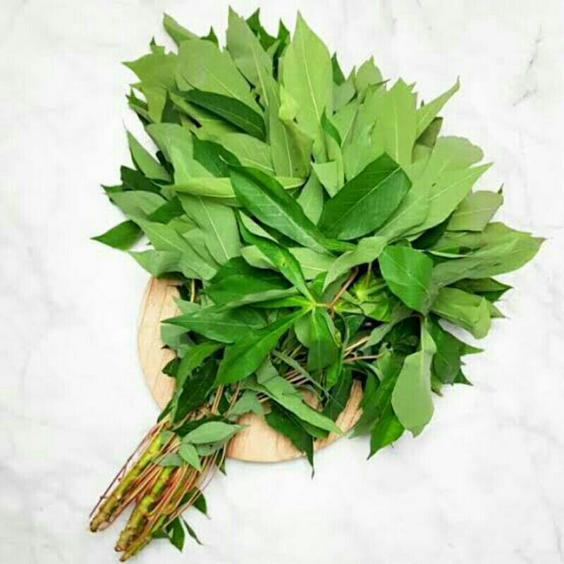 

paket daun singkong 1ikat