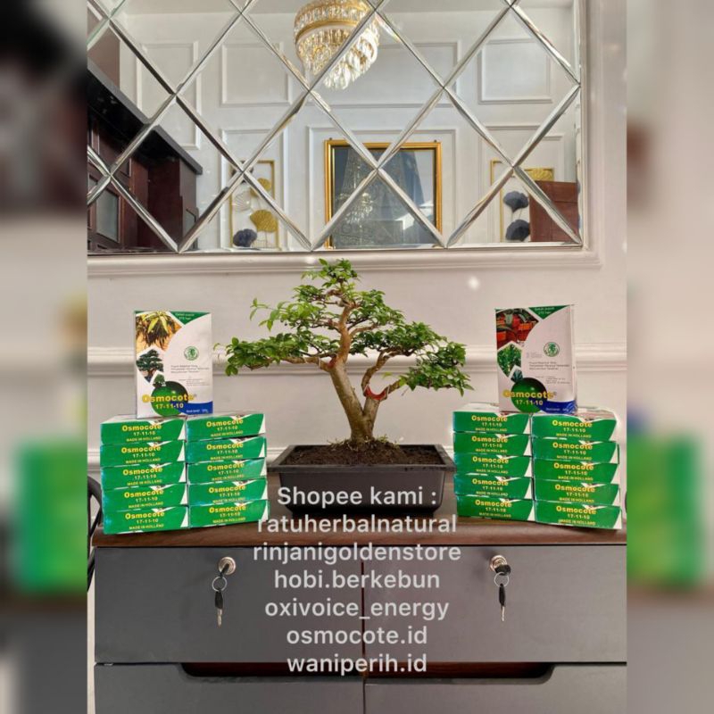 PROMO OSMOCOTE 17-11-10 500 GRAM