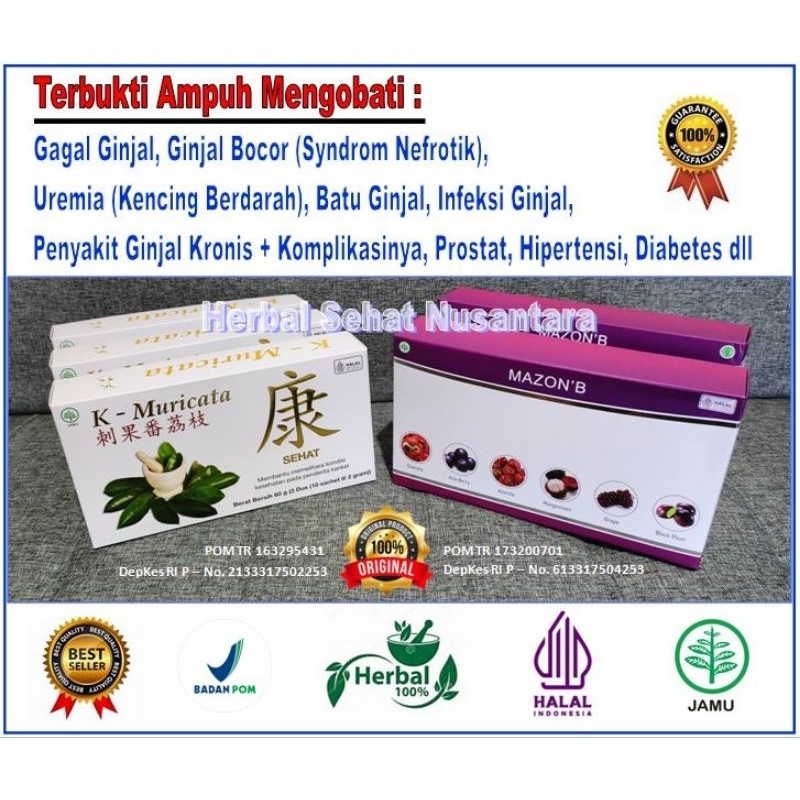 K Muricata dan Mazon B untuk Mengobati Gagal Ginjal, Ginjal Bocor (Syndrom Nefrotik), Uremia (Kencin