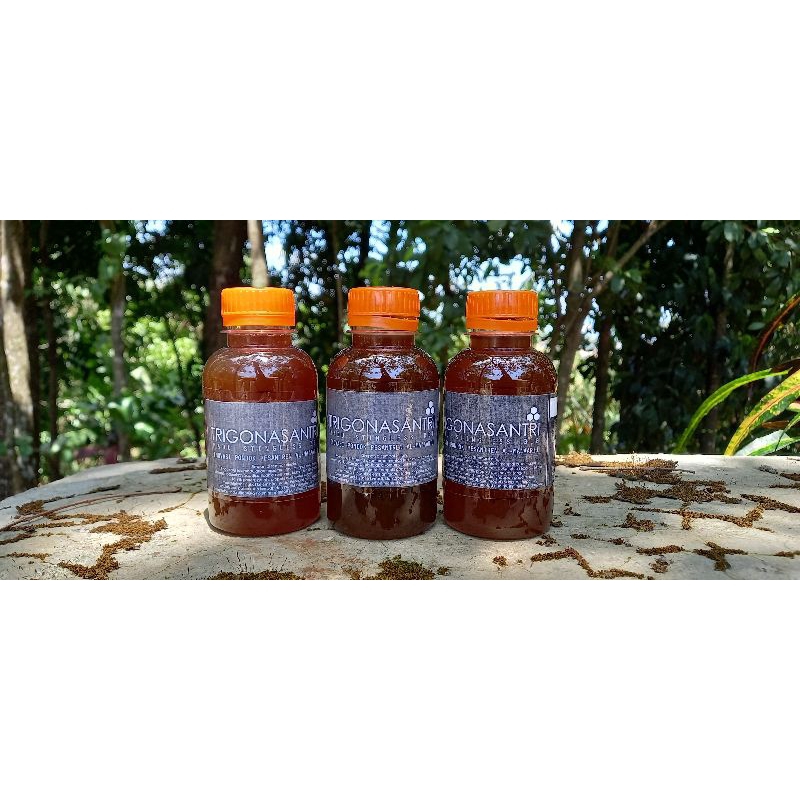 

Madu Trigona Laeviceps Murni