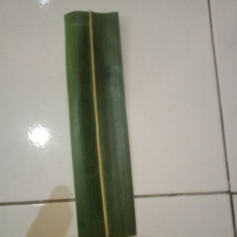 

100 pcs daun kelapa hijau pembungkus makanan