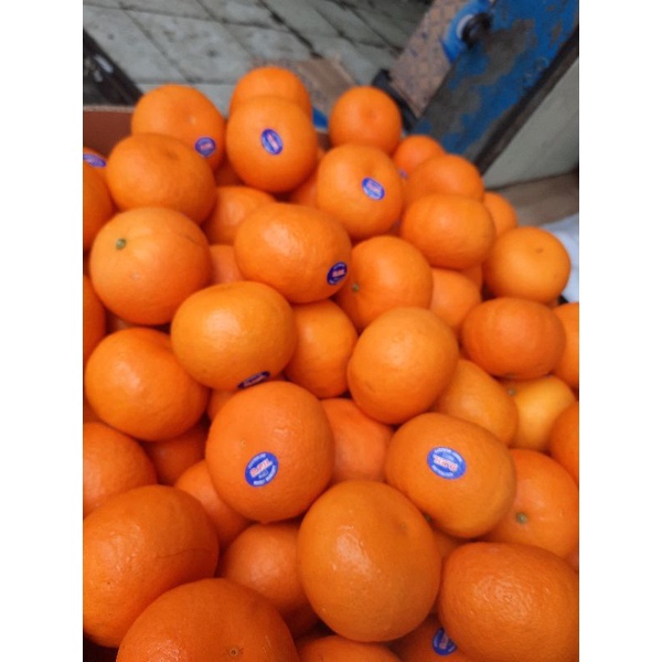 

Discount Today buah jeruk mandarin honey murcot 1kg !!