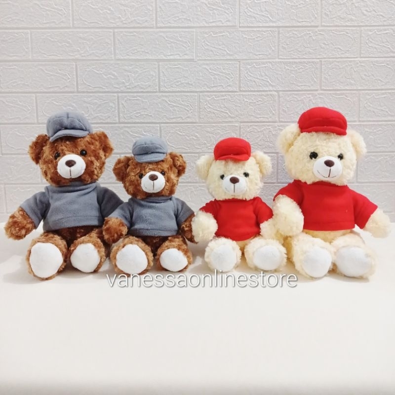 Boneka Beruang pakai Tshirt dan Topi Bear Breton Seulgi
