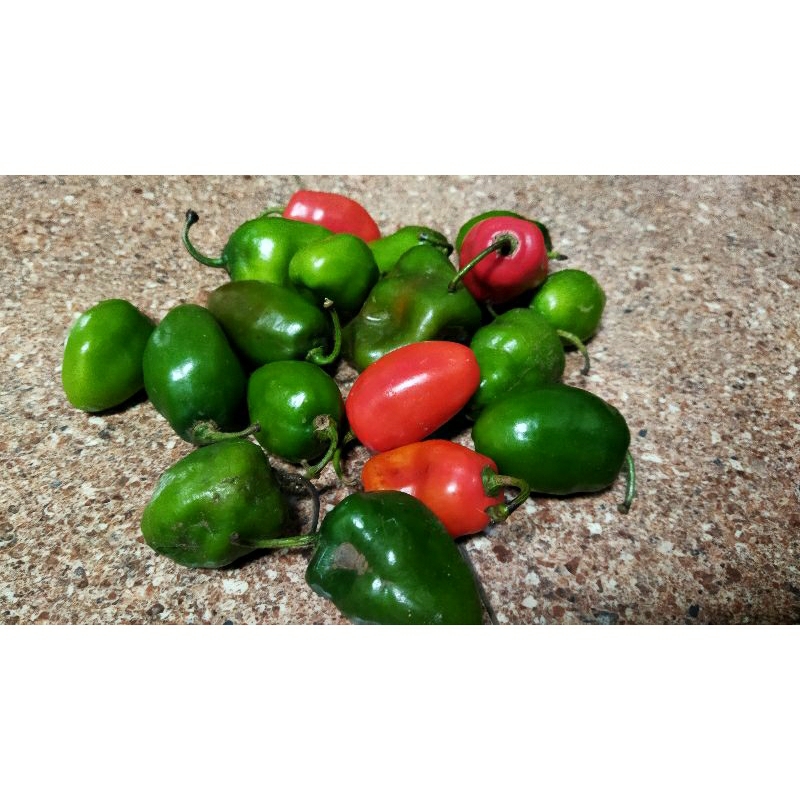 

CABE BANDUNG PEDASS 1 Kg