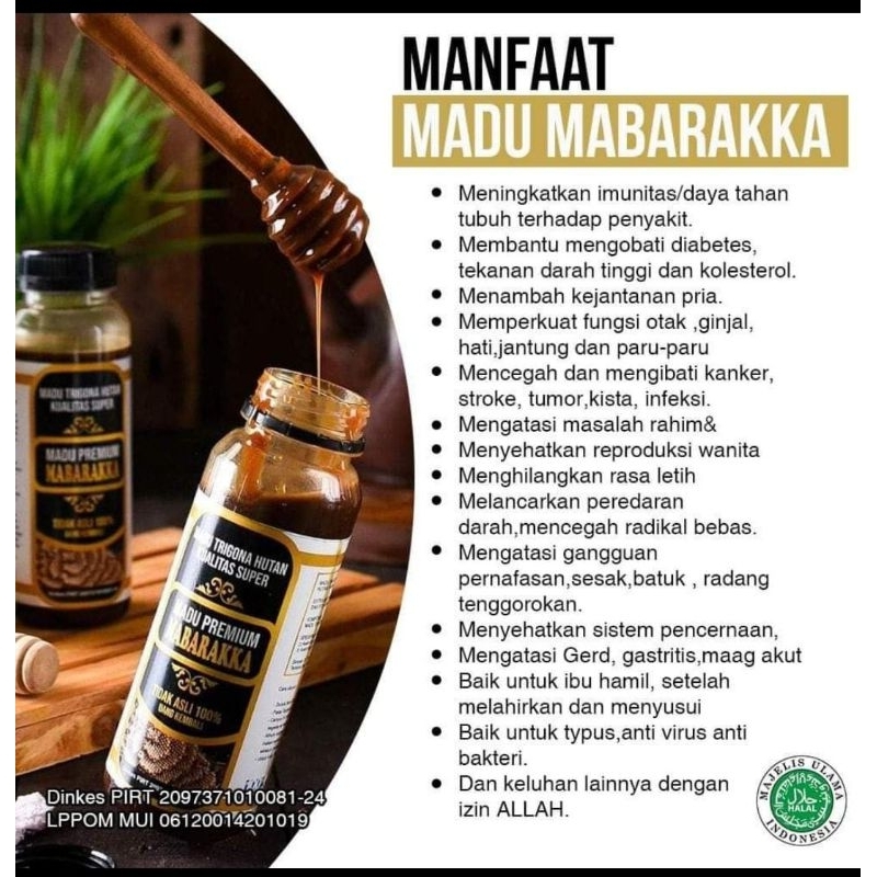 MADU TRIGONA MABARAKKA / MADU KLANCENG MABARAKKA ASLI SULAWESI