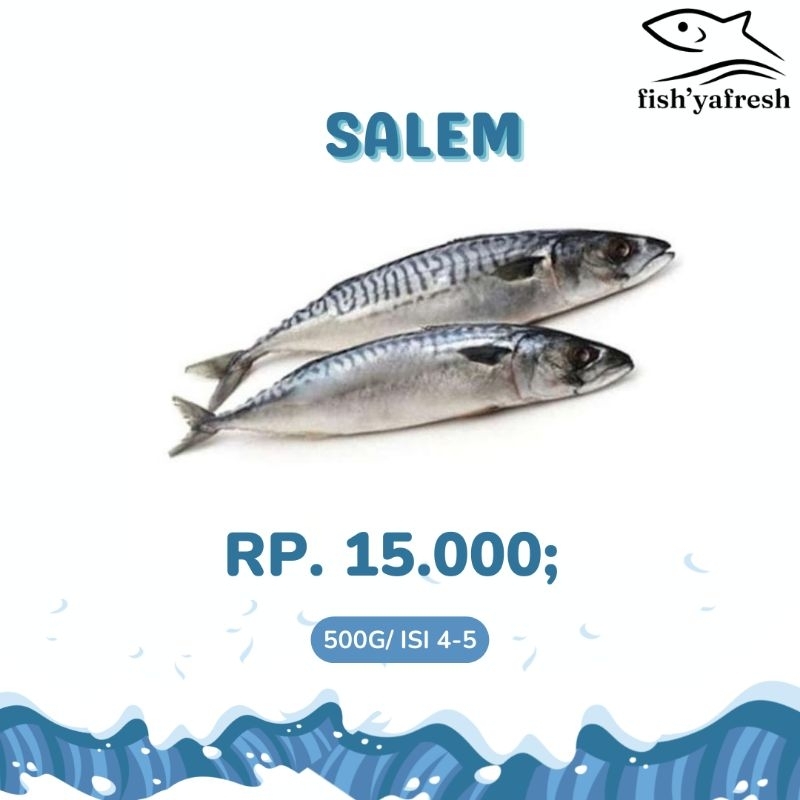 

Ikan Salem Fresh