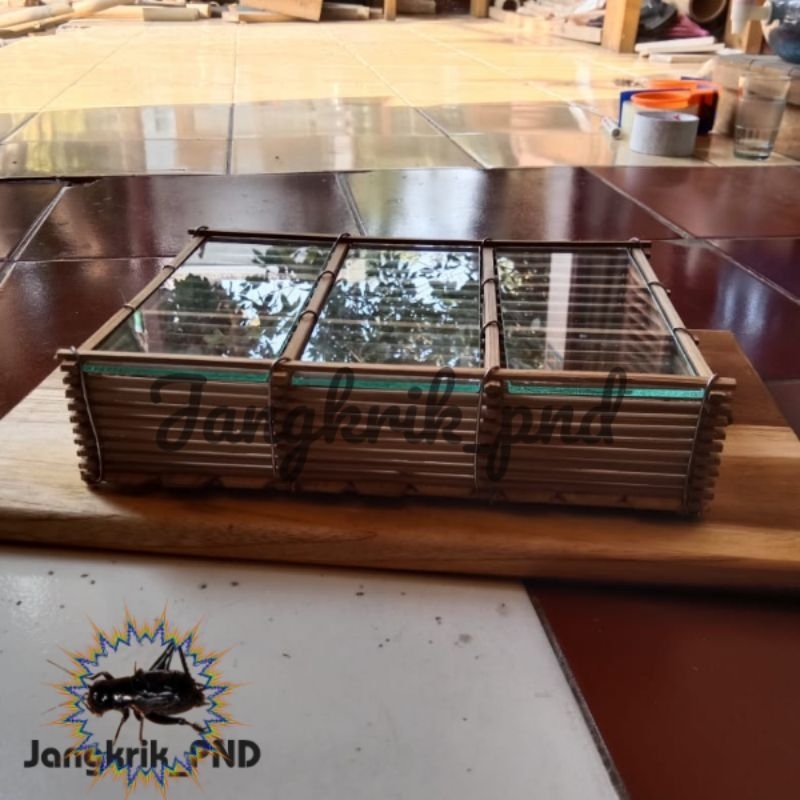 kandang jangkrik aduan 9 slot / kandang jangkrik harian / kandang jangkrik kaca