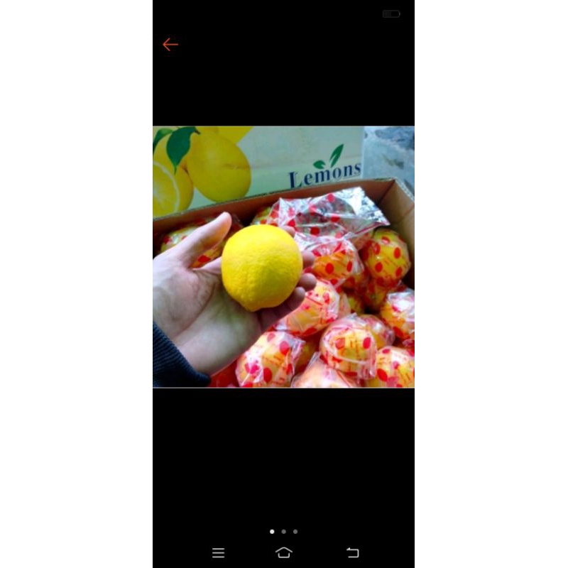

Lemon imfort fress /buah lemon bandung