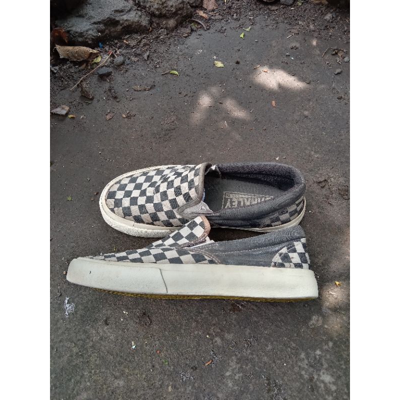 saint barkley checkerboard