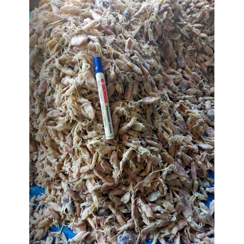 

Baby Cumi Asin 1kg Premium