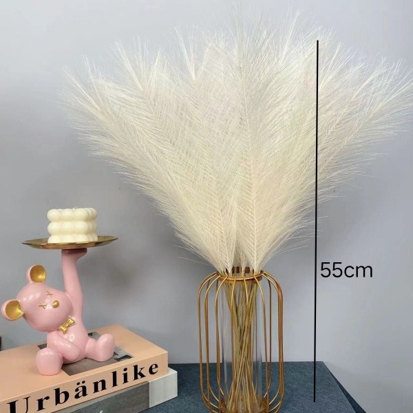 12 batang daun kering pampas bulu | pampas rayung lokal