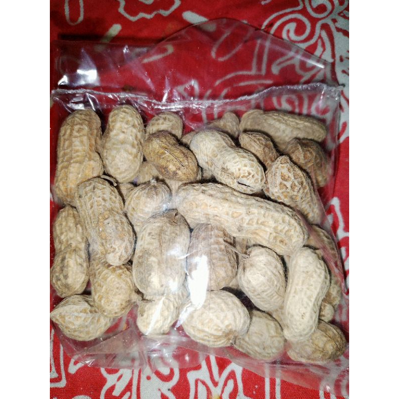

kacang kulit sangrai