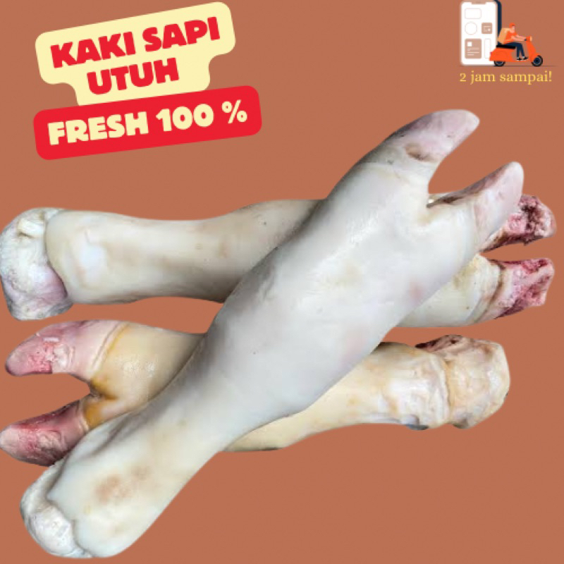 

Kaki Sapi utuh Cokor Sapi Utuh Tulang Sumsum Rebus dan Bersih -/+ 2 kg KIRIM INSTAN BANDUNG