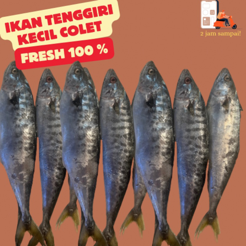 

Ikan Tenggiri Kecil Colet Giling Fresh Fish KIRIM INSTAN BANDUNG