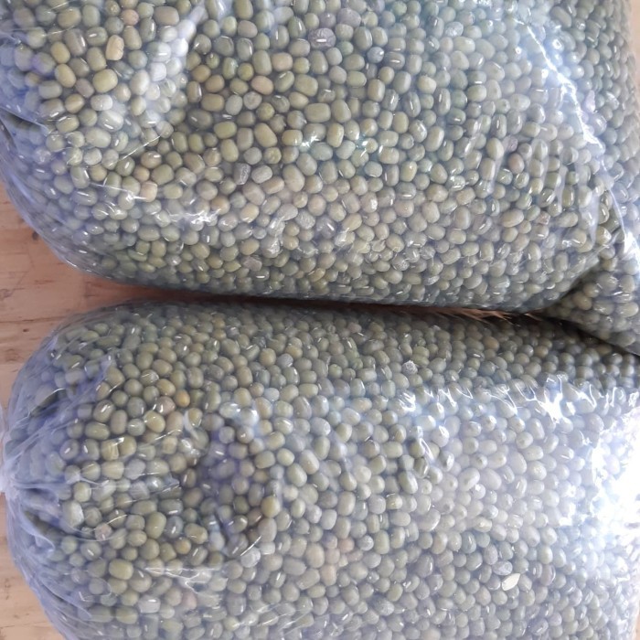 

☁︎PRODUK PETANI☁︎ Kacang hijau kualitas super langsung dari petani 5 kg - bagus untuk bubur kacang hijau, toge dan olahan kacang hijau lainnya
