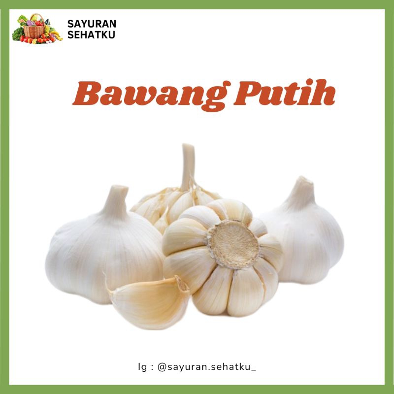 

Bawang Putih Sinco 100gram
