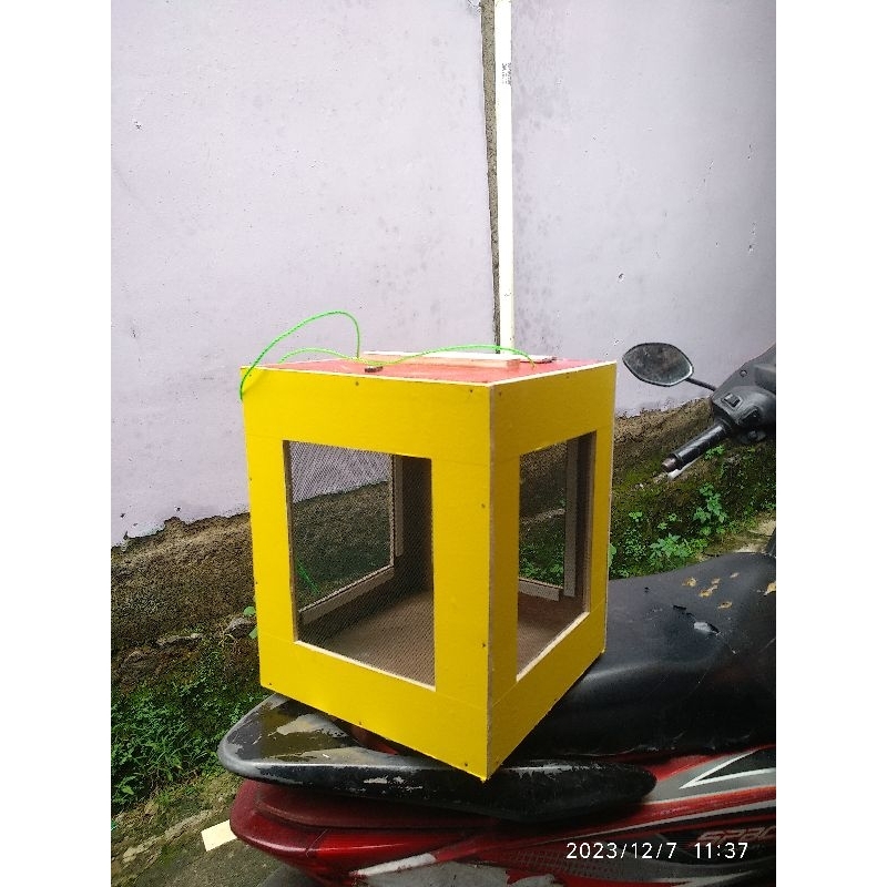 kandang jangkrik kotak besar