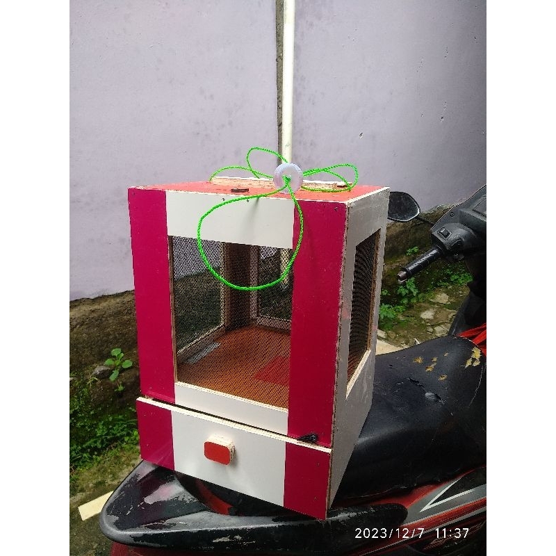 kandang jangkrik jumbo dan laci ulat