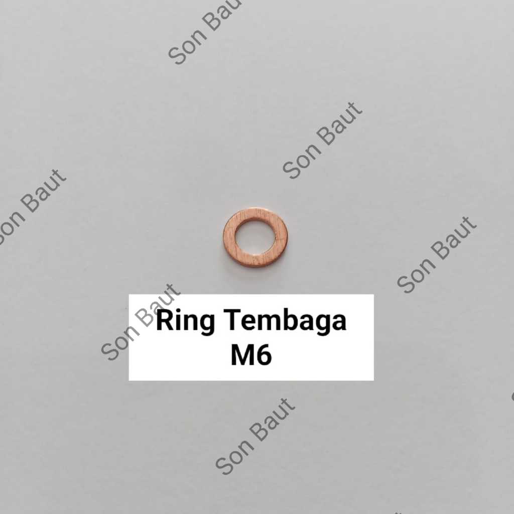 Ring Tembaga M6 Baut 10