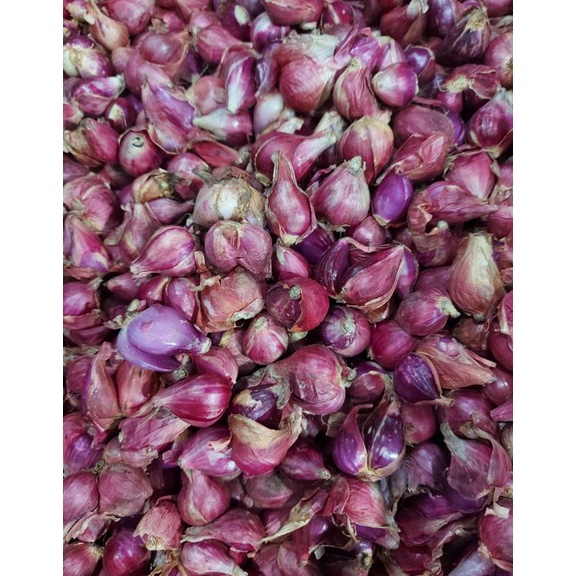 

[۞U12&] BAWANG BREBES UKURAN SEDANG 1KG Discount Today