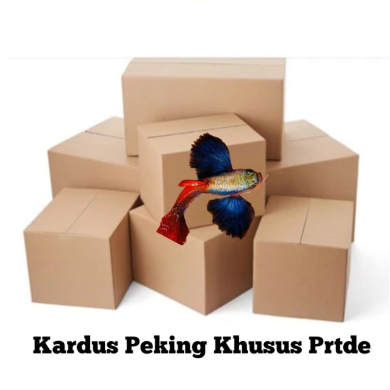 

Kardus Bergambar PRTDE