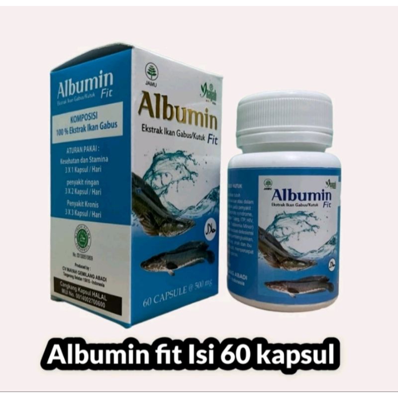 albumin fit ekstrak ikan gabus