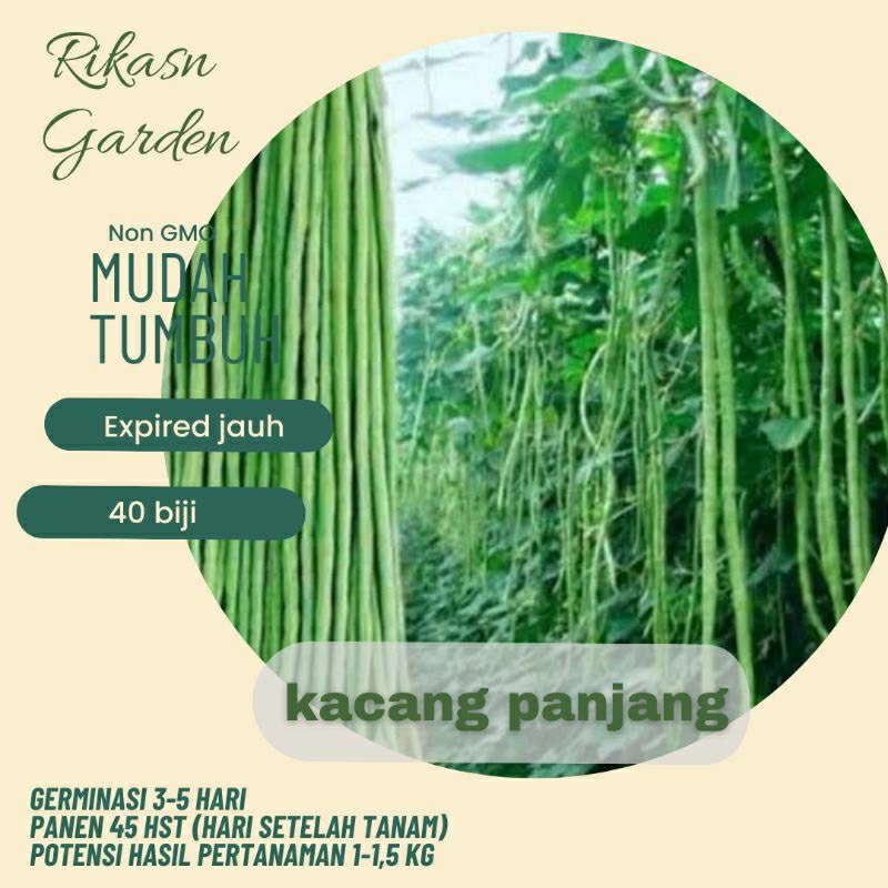 KHUSUS BATAM benih biji bibit kacang panjang super