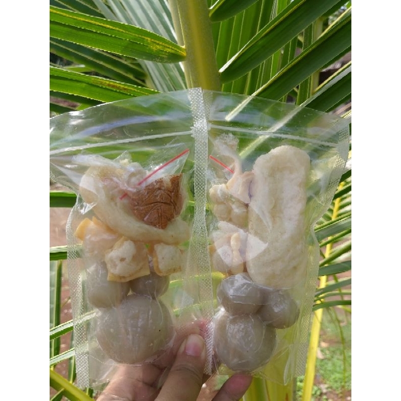 

BOCI ayam suwir
