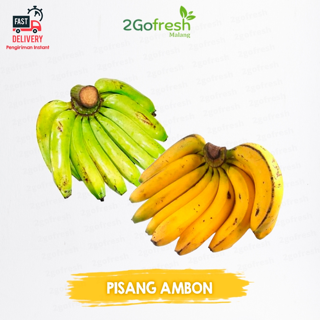 

Buah Pisang Ambon Matang Fresh - Rempah Sayur Sayuran & Buah Buahan