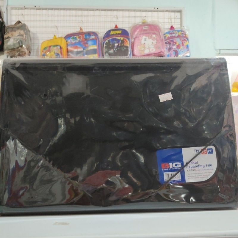 

big picket expanding file