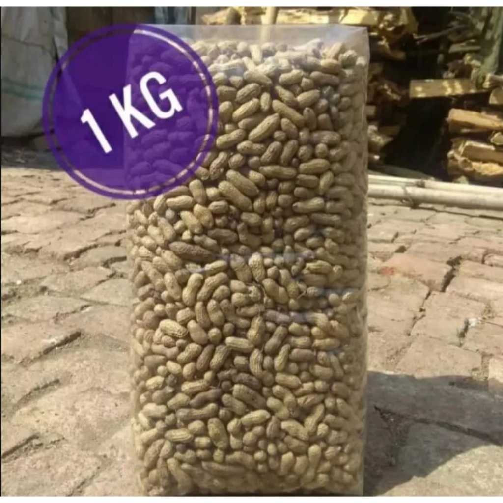 

1 kg Kacang Kulit Sangrai Garing Renyah Asli Madura