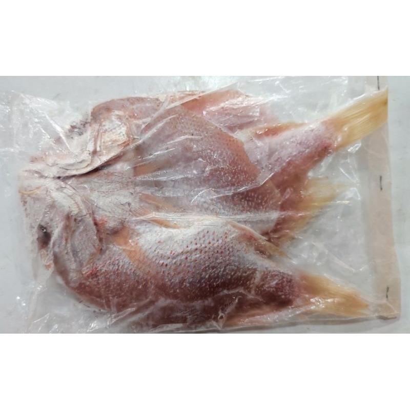 

kakapmerah