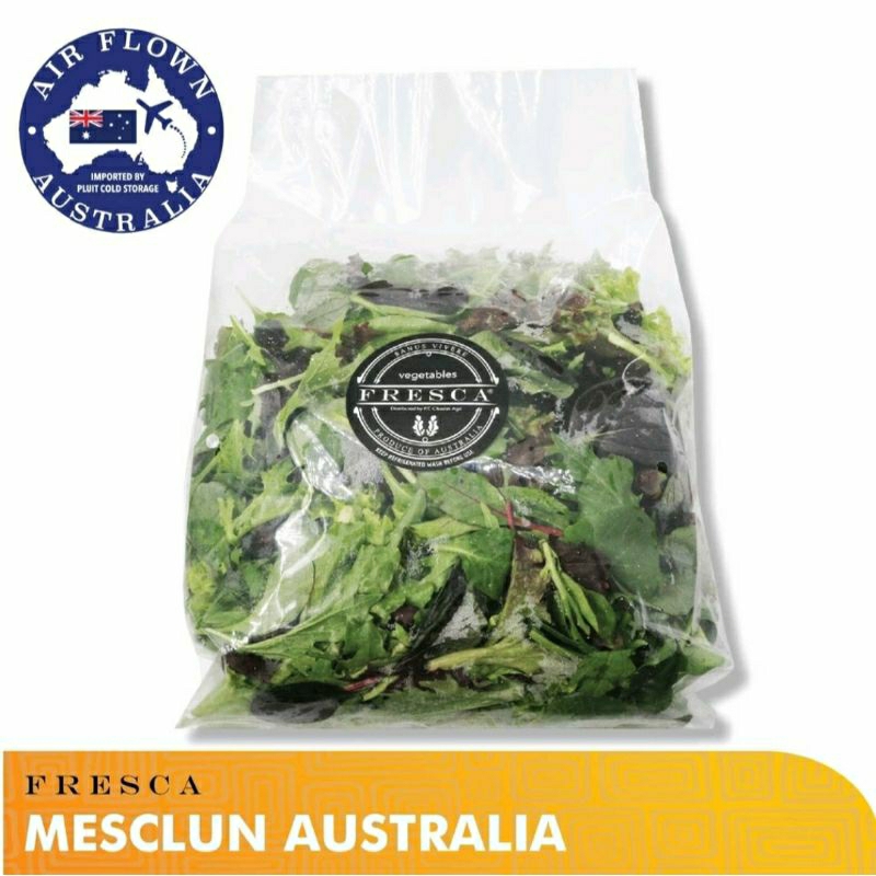 

Mesclun Australia FRESCA 500 gr ( Salad Mix )