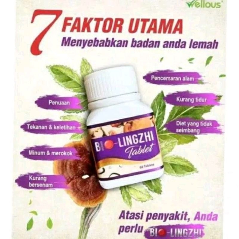 Bio Lingzhi Original asam urut ginjal BIO lingzhi bio lingzhi