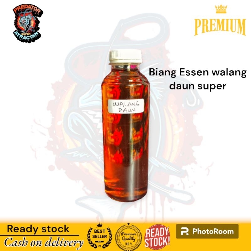 biang Essen walang daun super/Atsiri walang daun/minyak Atsiri walang daun