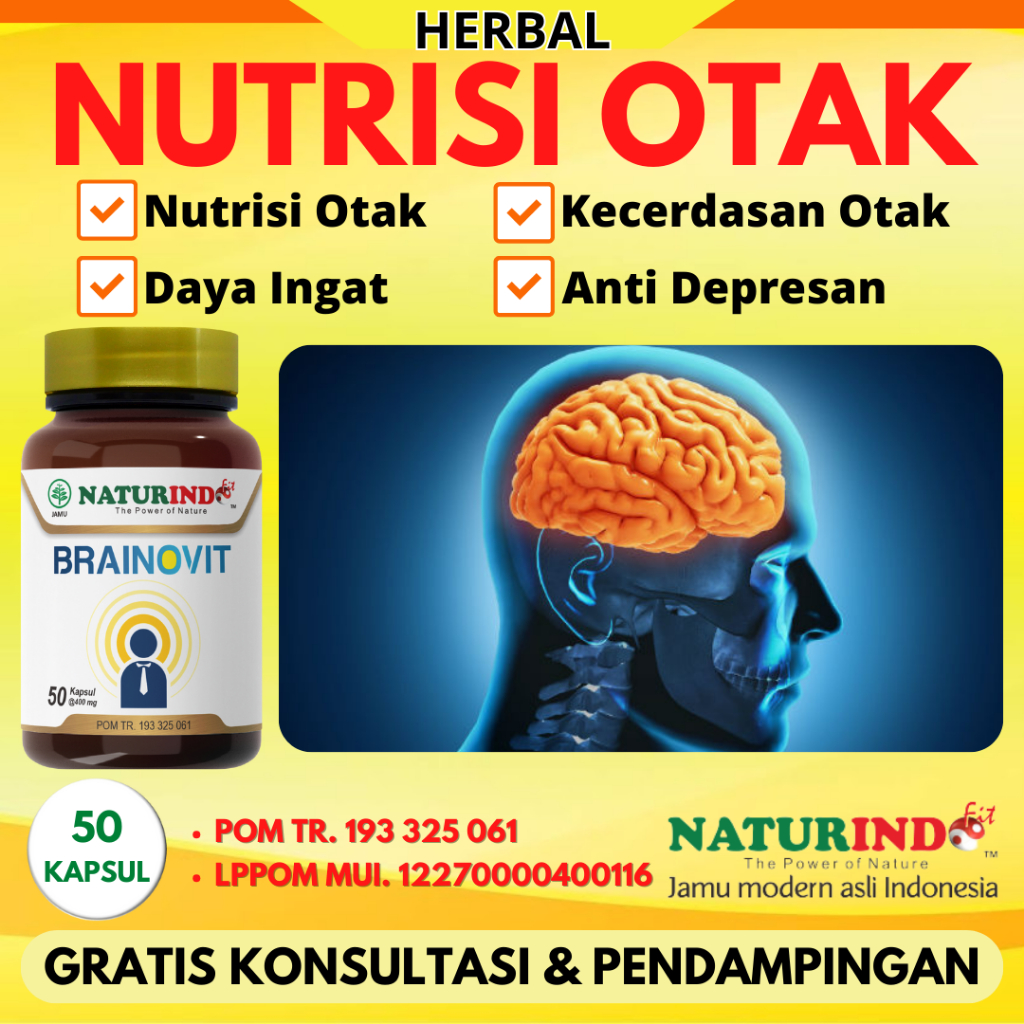 Obat Herbal Nutrisi Otak Vitamin Anti Depresan