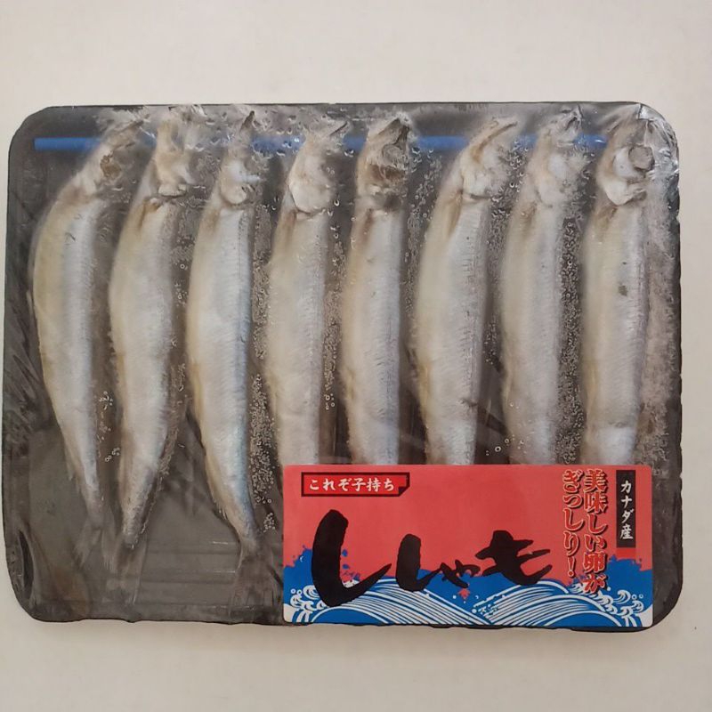 

Ikan shisamo isi 8 pcs