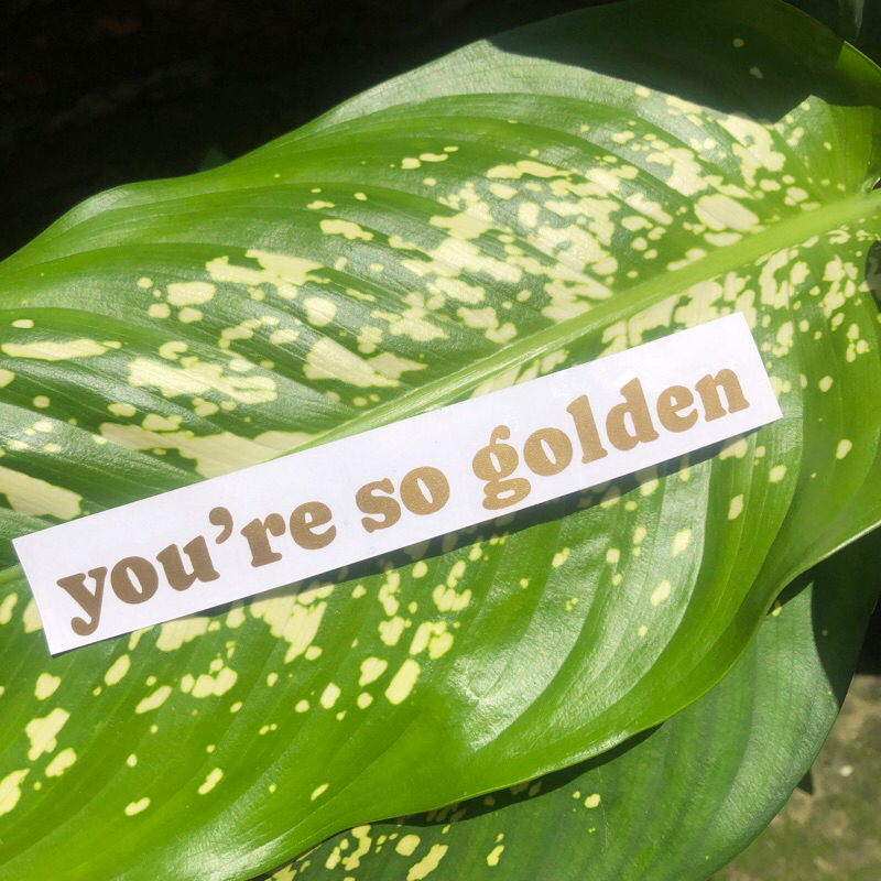 

Harry Styles Golden Decal Sticker | TNC Studio