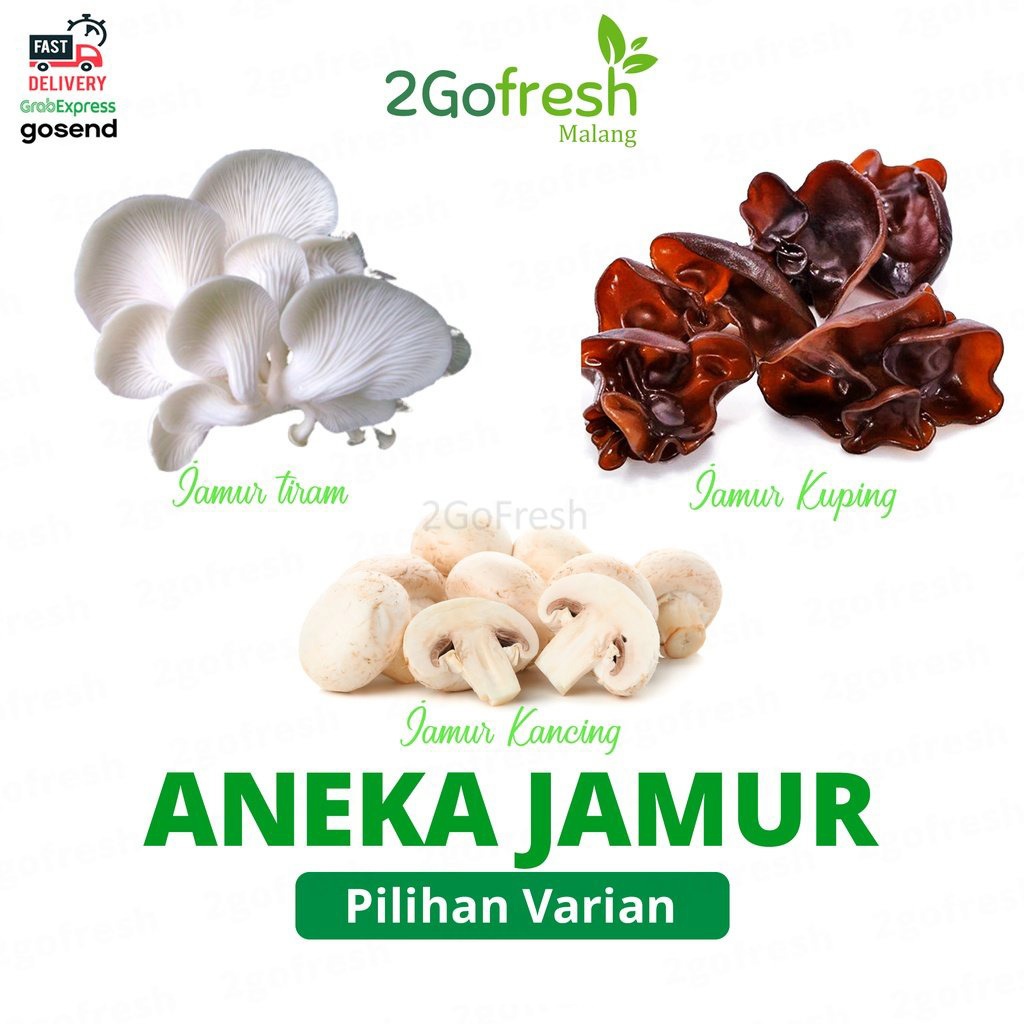 

Aneka Jamur/ Mushroom Fresh - Sayur Sayuran