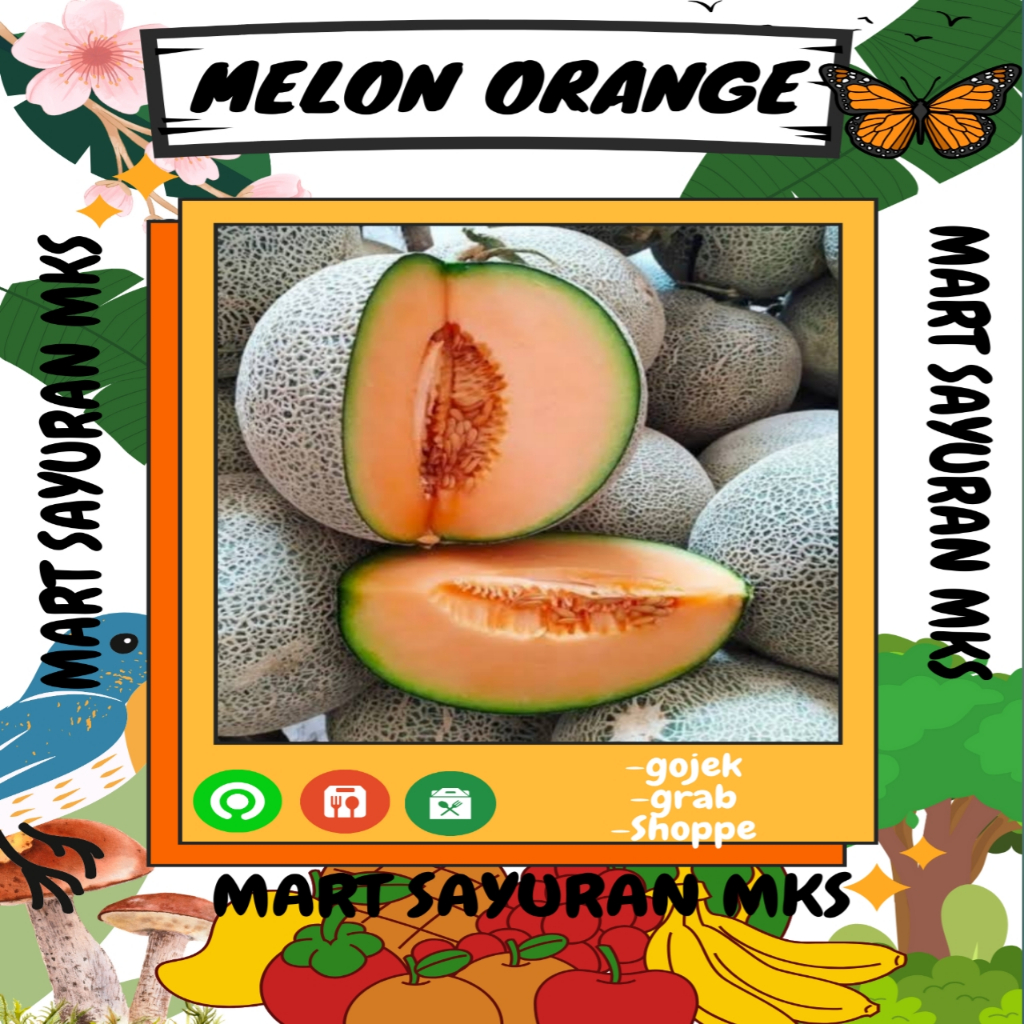 Buah Melon orange